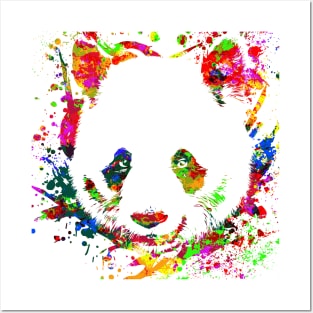 Panda Bear Animal Wild Forest Jungle China Bamboo Nature Asia World Earth Posters and Art